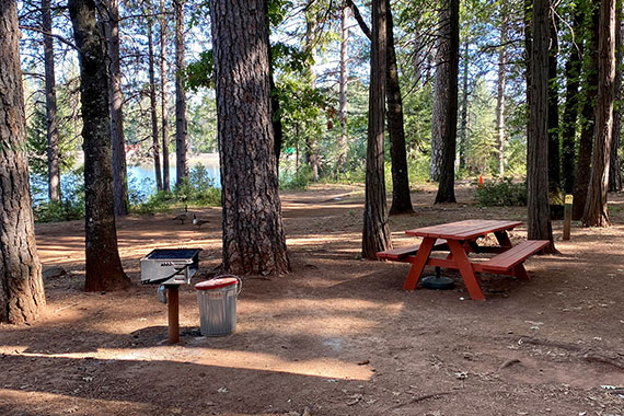 DeSabla Cabin 14 Picnic Table